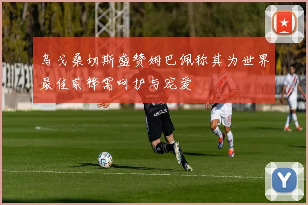 乌戈桑切斯盛赞姆巴佩称其为世界最佳前锋需呵护与宠爱